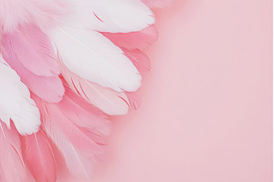 Pink and white feather arrangement, an Abstract Photo by Lermont51