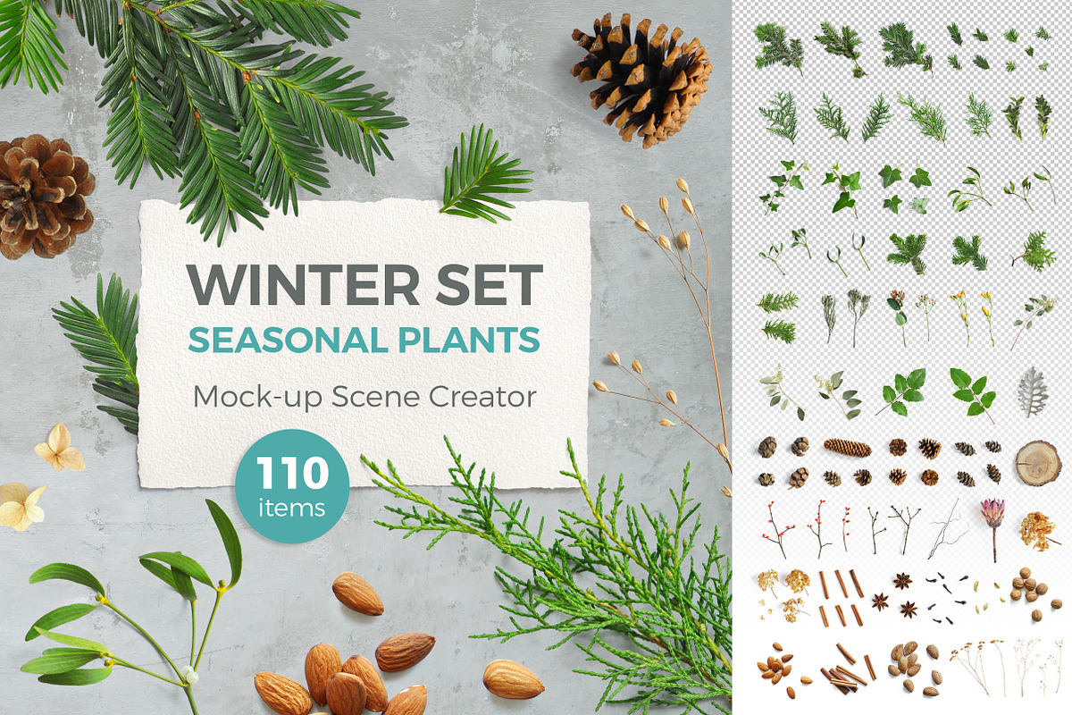 WINTER PLANTS | Scene Creator, a Product Mockup by bariskina (Photo 1 of 5)