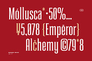 Roadhawk - Condensed Semi Serif, a Serif Font by Hindia Studio (Thumbnail 11 of 11)