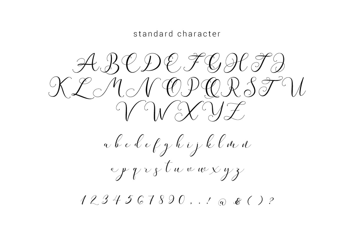 Andieny Script preview 6