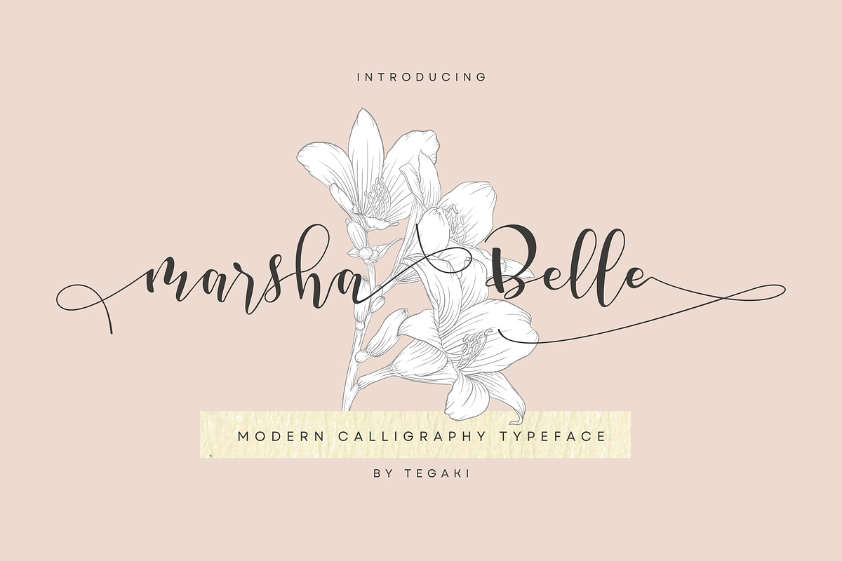 Marsha Belle, a Script Font by rudiSasori (Photo 1 of 32)