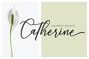 Wellington, a Script Font by MSG Studio (Thumbnail 3 of 9)