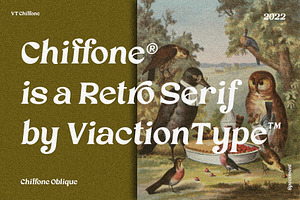 VT Chiffone - Retro Serif