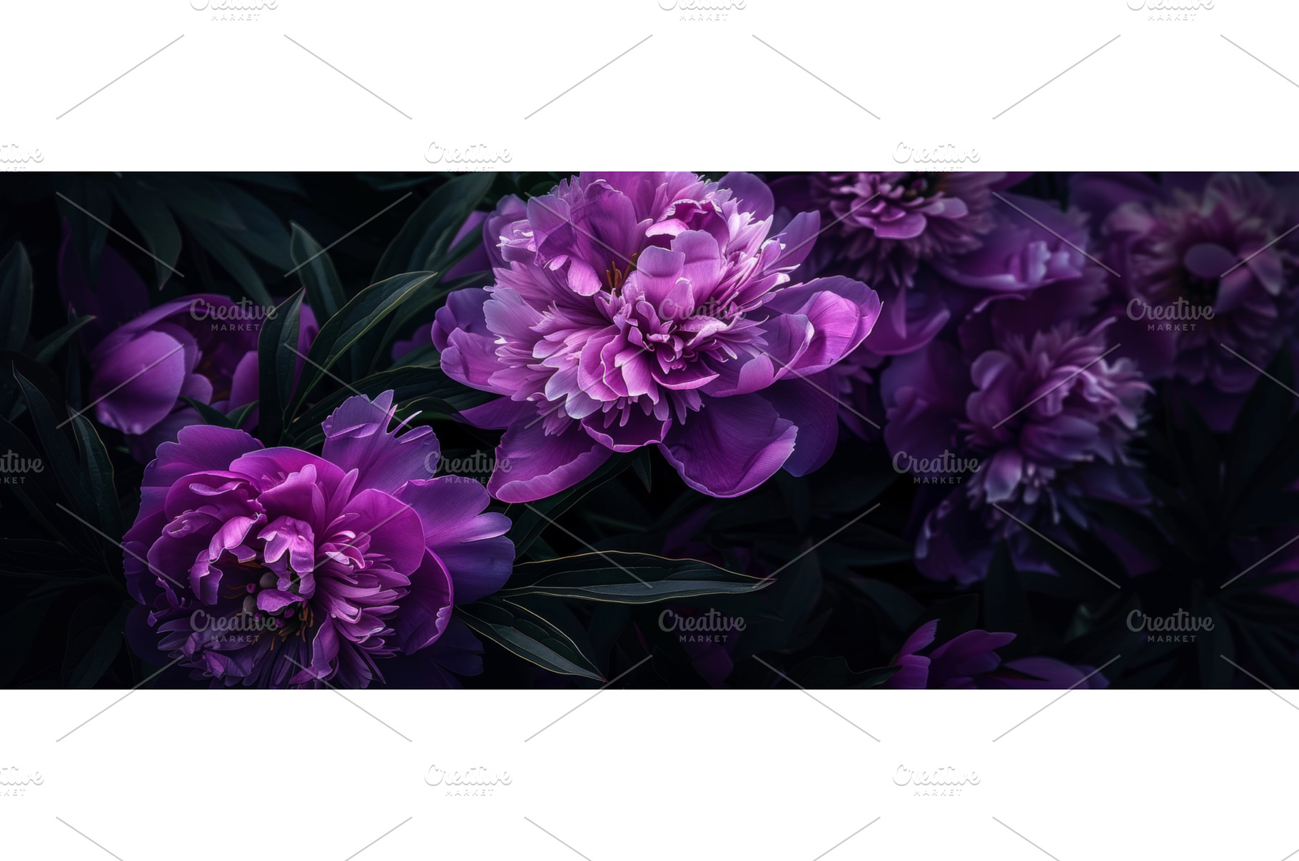 Elegant Purple Peonies in Bloom, a Beauty & Fashion Photo by Natalia Klenova's Shop