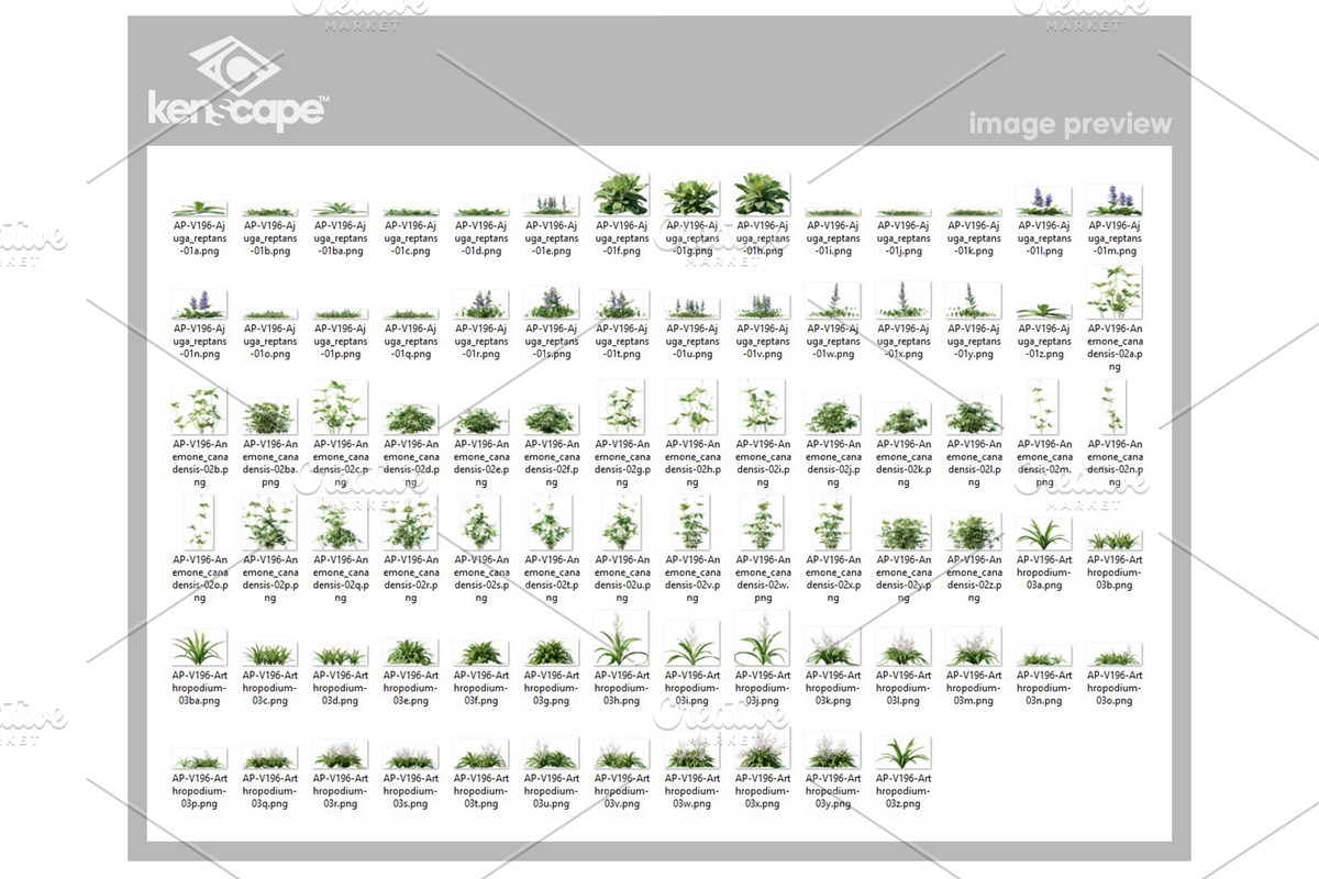 81 Assorted Plants Photo Overlays, a Nature Photo by KenScape (Photo 3 of 4)