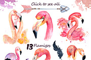 Boho flamingo Watercolor set, an Illustration by Evgeniia (Thumbnail 2 of 10)