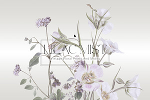 Vintage Botanical Patterns & Motifs