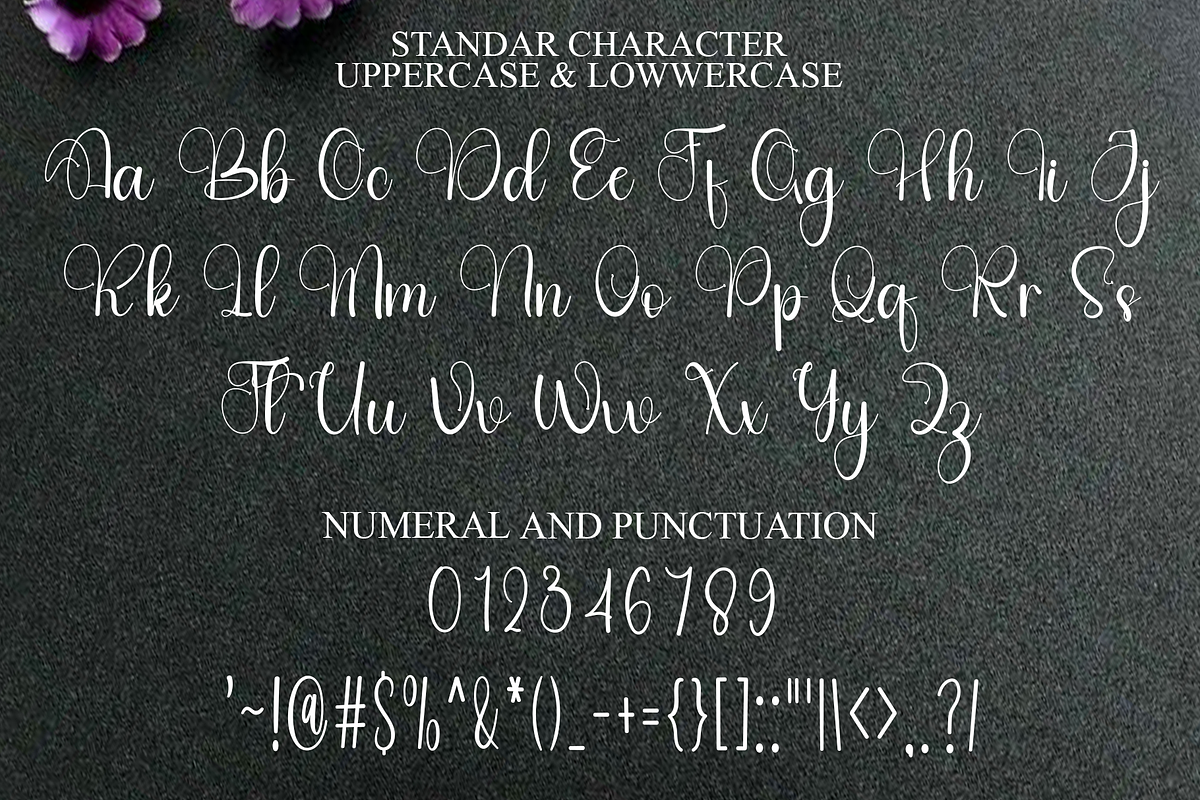 Wonderful Vintage, a Handwritten Font by InermediaSTUDIO (Photo 8 of 8)