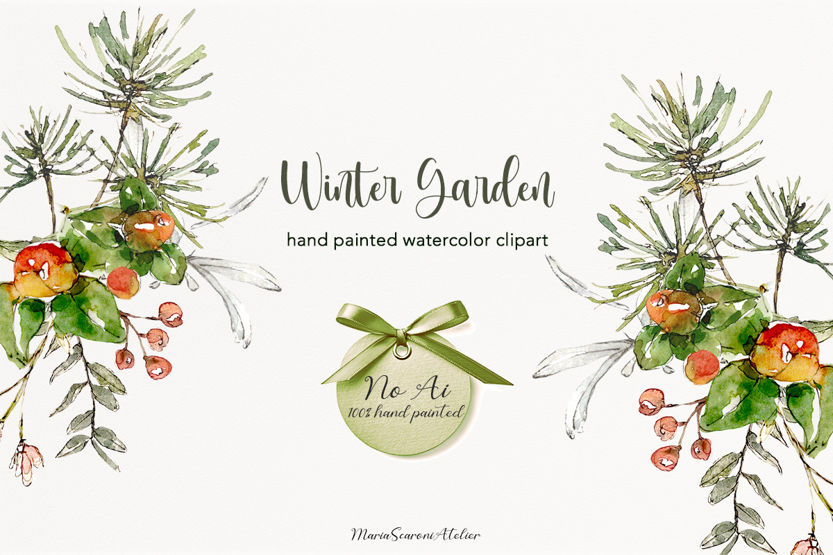 Winter Garden Watercolor Collection, a Seasonal Illustration by MariaScaroniAtelier (Photo 2 of 6)