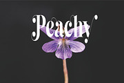 Saniyah, a Sans Serif Font by AleraStudio (Thumbnail 6 of 7)