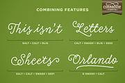 Tierra Script, a Script Font by Corradine Fonts (Thumbnail 12 of 15)