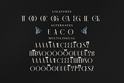Camaroon Megalord Serif Display Font, a Serif Font by Storytype Studio (Thumbnail 14 of 15)
