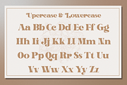 Glanela, a Serif Font by Amera Type (Thumbnail 9 of 10)