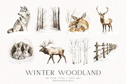 Winter Woodland, an Animal Illustration by PeDe Designs (Thumbnail 7 of 8)