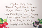 Fairybells Script, a Script Font by ianmikraz (Thumbnail 10 of 10)