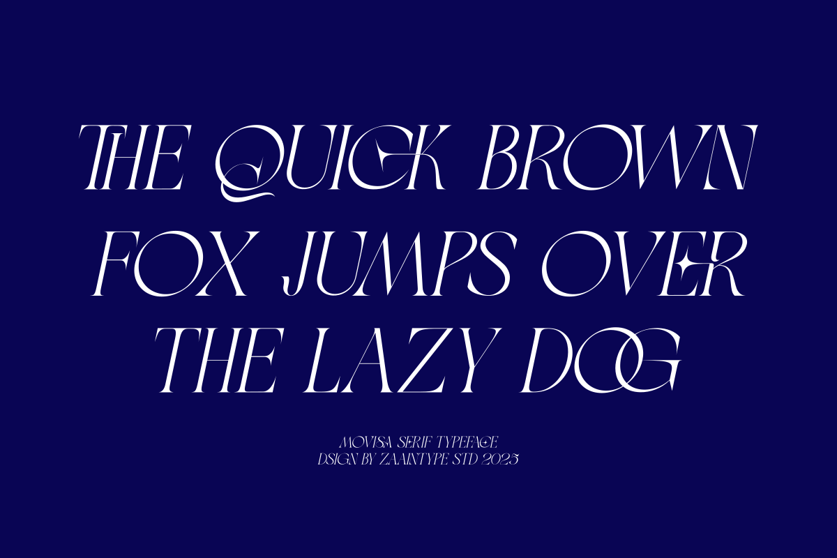 Movisa, a Serif Font by zaaintype (Photo 15 of 15)
