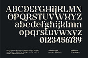 Qyore – Elegant Modern Serif, a Serif Font by Nollev (Thumbnail 6 of 9)
