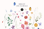 BRIGHT Watercolor Wildflowers, a Decorative Illustration by Lana Elanor (Thumbnail 3 of 11)