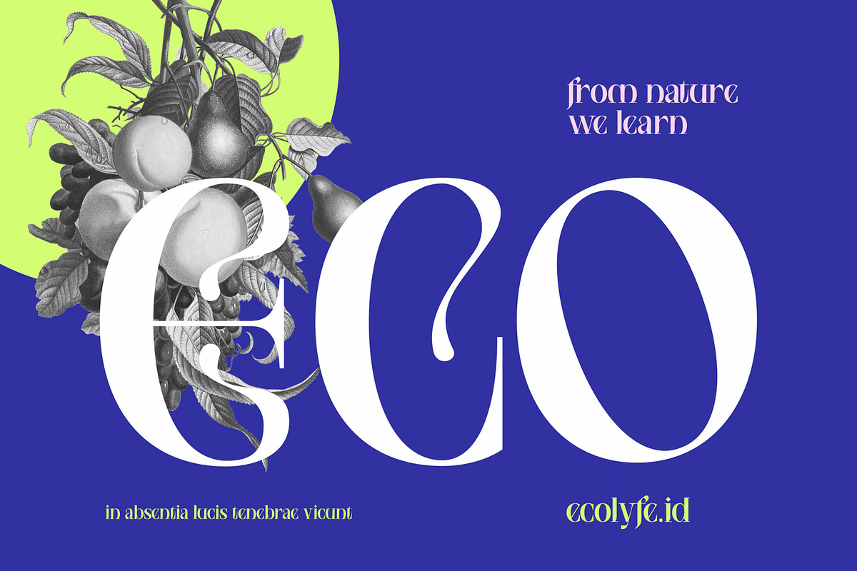NCL Saigefy Cebahixa - Modern Serif, a Serif Font by Enxyclo Studio (Photo 3 of 10)