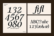 Mountriel - Classic Modern Serif, a Serif Font by Typetemp Studio (Thumbnail 4 of 22)