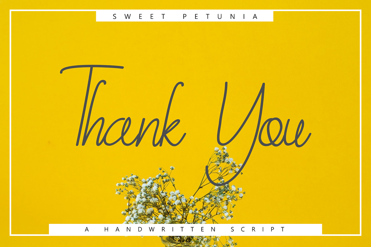 Sweet Petunia Handwirtten Script preview 7