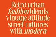 Delivery Feedback Modern Serif, a Serif Font by timelesstype.co (Thumbnail 11 of 20)