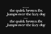Tinday Serif Font, a Sans Serif Font by Artiveko (Thumbnail 5 of 8)