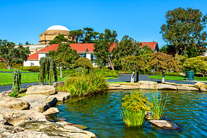 Manicured park and pond at a digital arts center in San Francisco, an Architecture Photo by Leonid Andronov