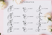 Welldone, a Script Font by Letterara (Thumbnail 10 of 11)