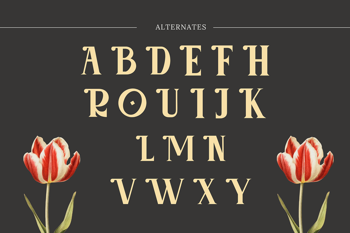 Roaze - Vintage Logo Font, a Serif Font by Illushvara Design (Photo 8 of 11)