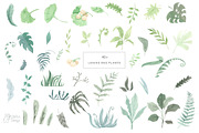 DINOSAUR watercolor clipart., an Animal Illustration by OlliArtDesign (Thumbnail 3 of 12)