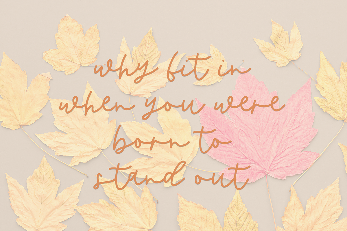 Butternut Script, a Script Font by Beck McCormick (Photo 7 of 11)