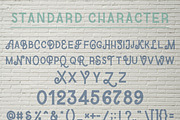 Strong Vintage | Serif Font Family, a Serif Font by MaxArt Foundry (Thumbnail 7 of 9)