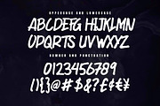 PALAKKA - Handwritten font, a Handwritten Font by Majelis Art (Thumbnail 7 of 8)