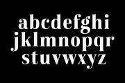 Karsten, a Serif Font by Nasir Udin (Thumbnail 14 of 16)