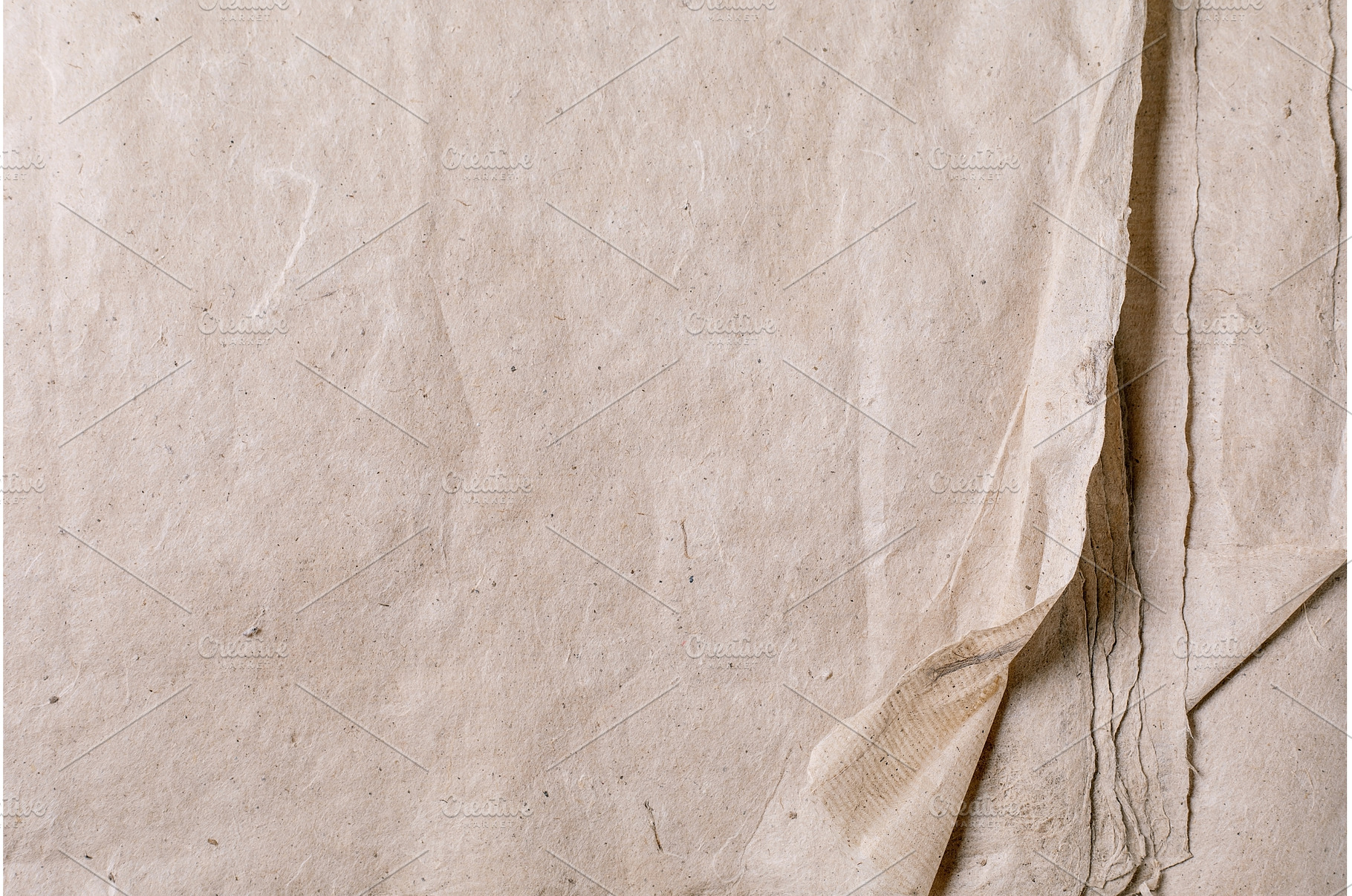 Natural Beige Parchment Textured, a Background Photo by Natasha Breen