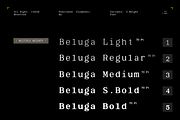 GC Beluga Mono - Elegant Modern Mono, a Serif Font by Glyphonic (Thumbnail 3 of 15)