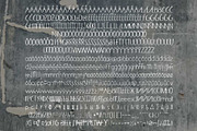 Selva Hand Typeface, a Sans Serif Font by Craft Graphic Type (Thumbnail 11 of 12)