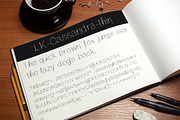 Cassandra Hand Drawn Font, a Script Font by Elegrad Design Agency (Thumbnail 2 of 6)