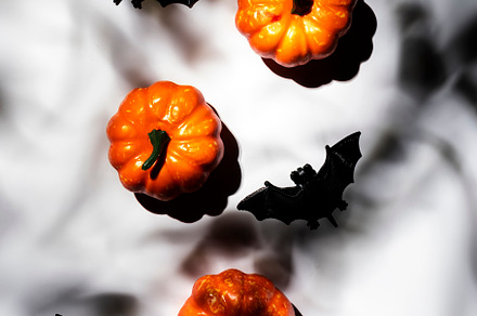 Happy Halloween white background with pumpkins, bats, spiders wi, a Holiday Photo by 5PH