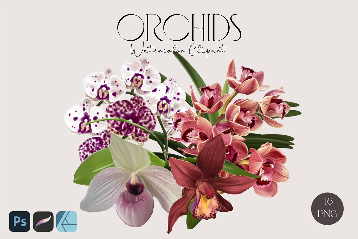 Realistic orchid oil - Bundle flower, a Decorative Illustration by NNclipart (Photo 1 of 4)
