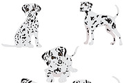 Dalmatian, an Animal Illustration by Orangepencil (Thumbnail 5 of 7)