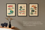 BUNDLE: 200 Vintage Art Prints, a Decorative Illustration by The Object Atlas (Thumbnail 7 of 22)