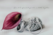 Queenly. Handwritten Font, a Script Font by AnMark (Thumbnail 3 of 15)