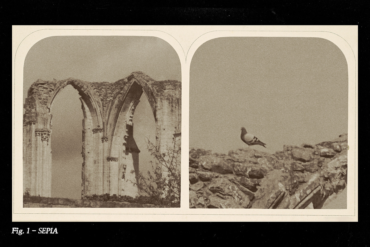 Darkroom - Analog Photo Toolkit, a Preset Add-On by MiksKS (Photo 9 of 27)