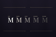 Monstice Family Fonts + EXTRAS, a Serif Font by seventhimperium (Thumbnail 2 of 8)