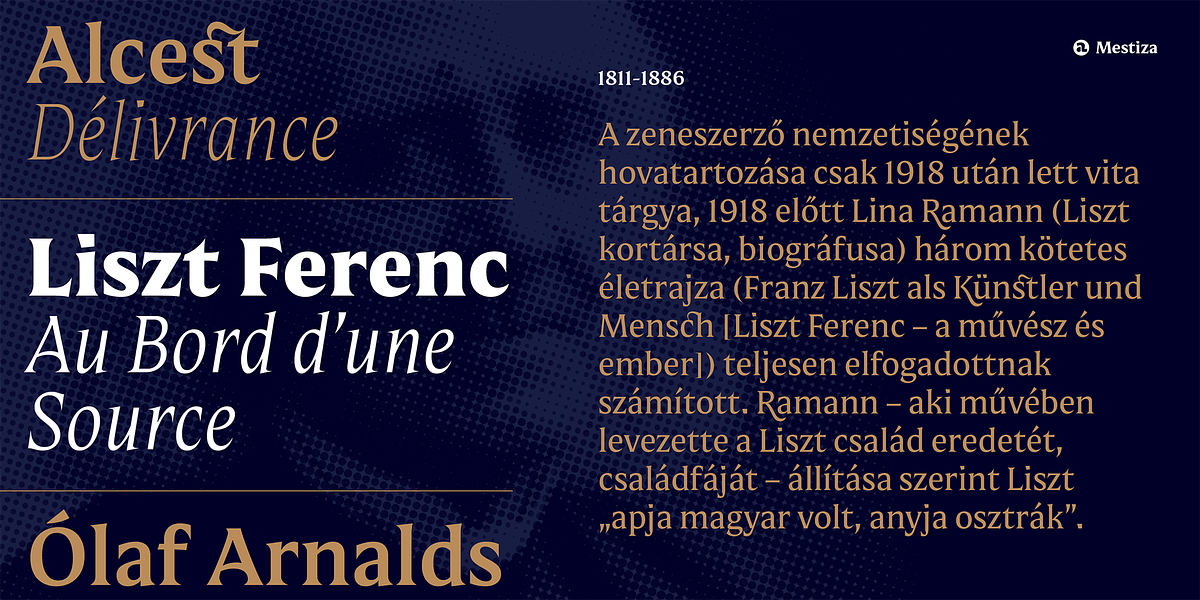 Mestiza, a Serif Font by Lechuga Type (Photo 13 of 16)