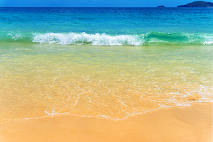 Beautiful tropical beach and wave