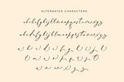 Ultimate Culture, a Script Font by Artic Type (Thumbnail 7 of 9)