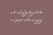 Charlotte Ornamental Calligraphy, a Handwritten Font by UICreative (Thumbnail 6 of 12)